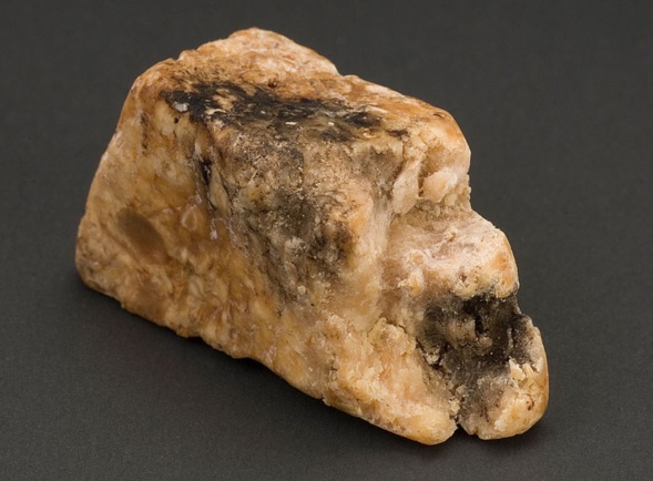 Ambre de cachalot Ambre de cachalot