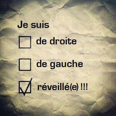 Élections municipales... Depuis quelques jours, c'est une vraie Foire du Trône pour nous draguer !